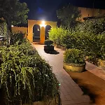Clizia *